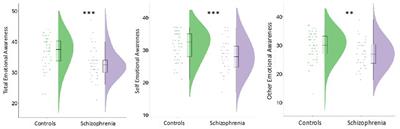 Impaired emotional awareness is associated with childhood maltreatment exposure and positive symptoms in schizophrenia